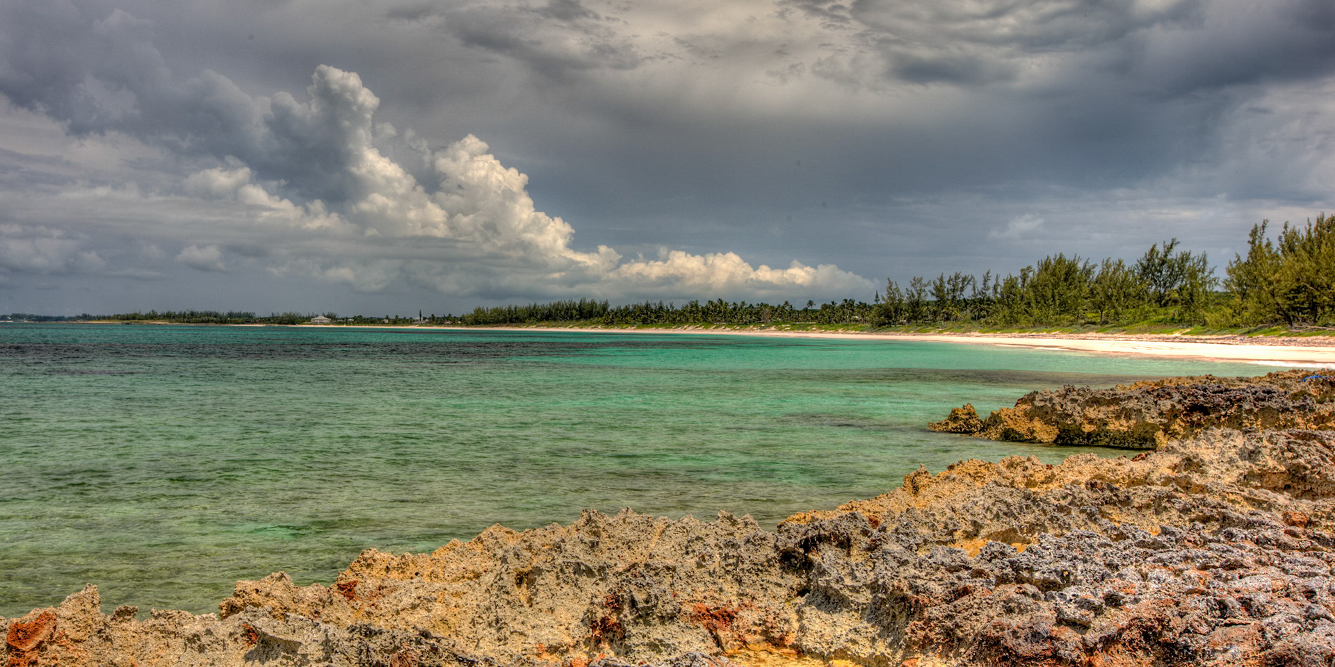 From the Rocks - 145