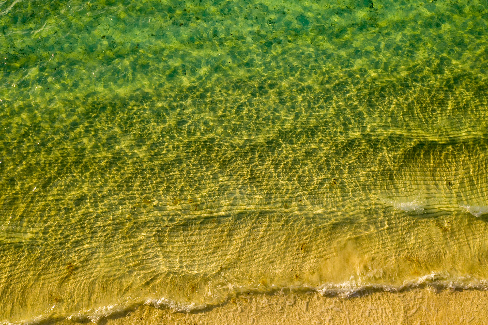 Gold Water - 015