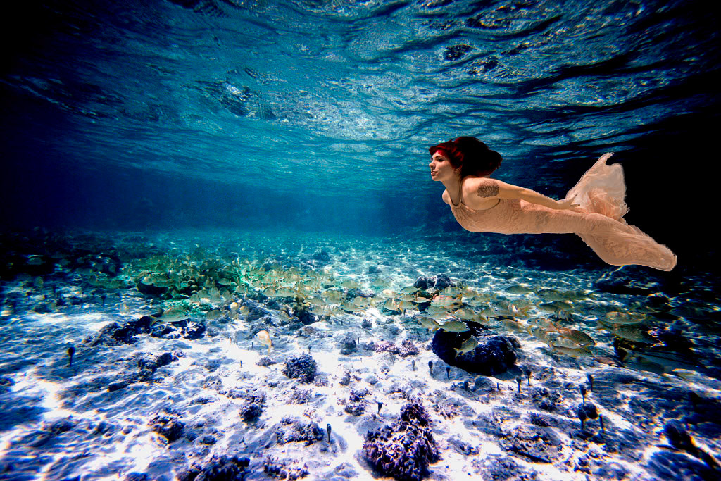 Swimming into Blue -3201