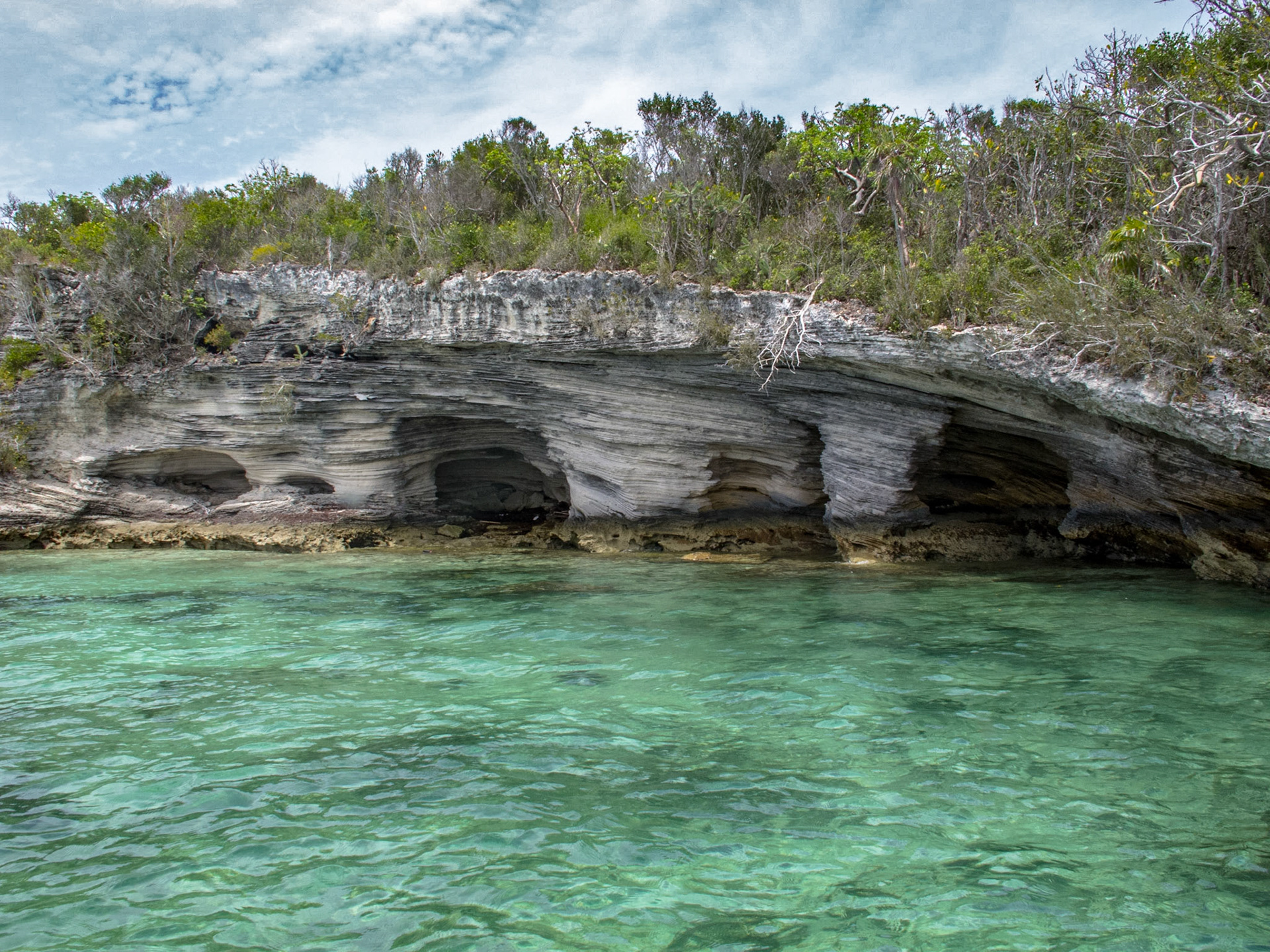 Under the Ledge - 1479