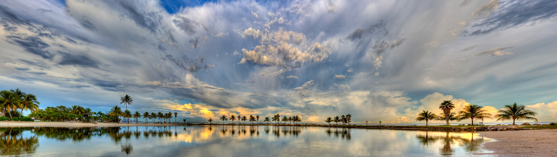 Palms and Cloud - 0010