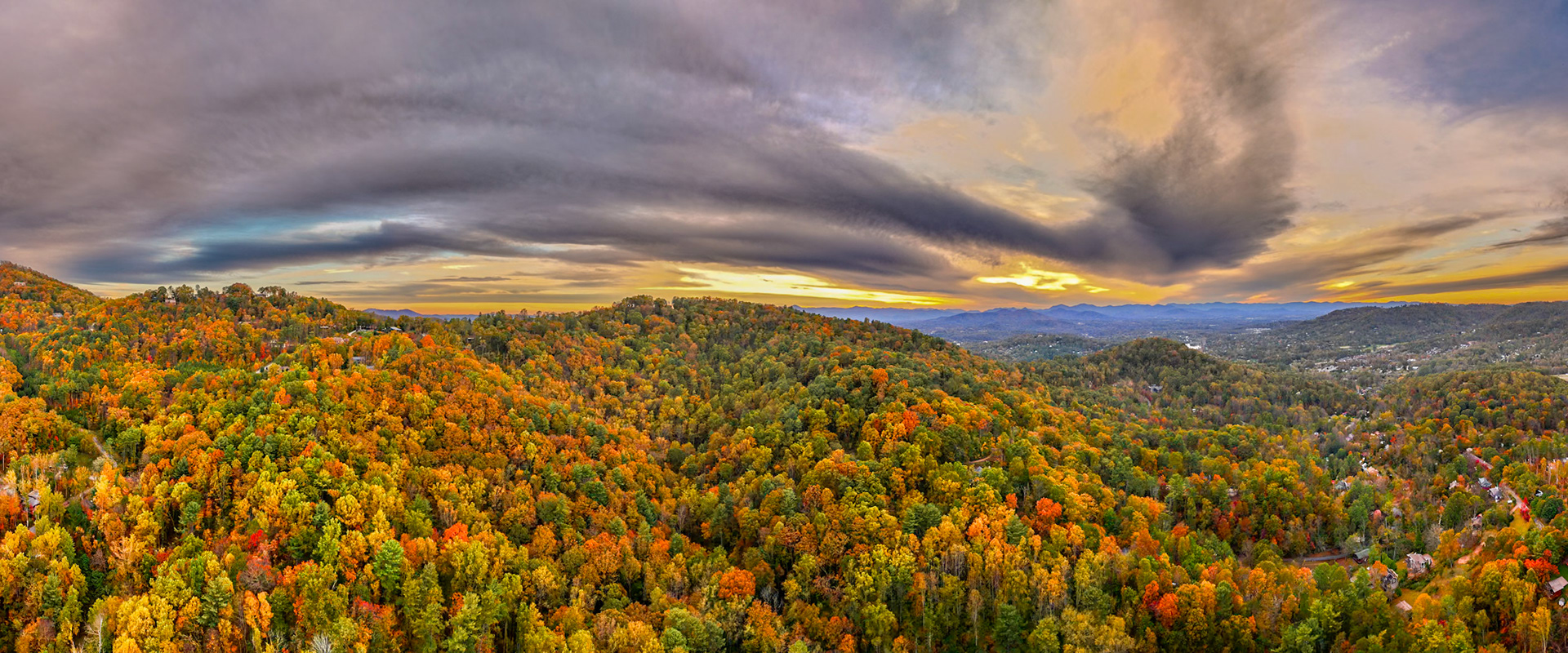 Canopy in Color 1069