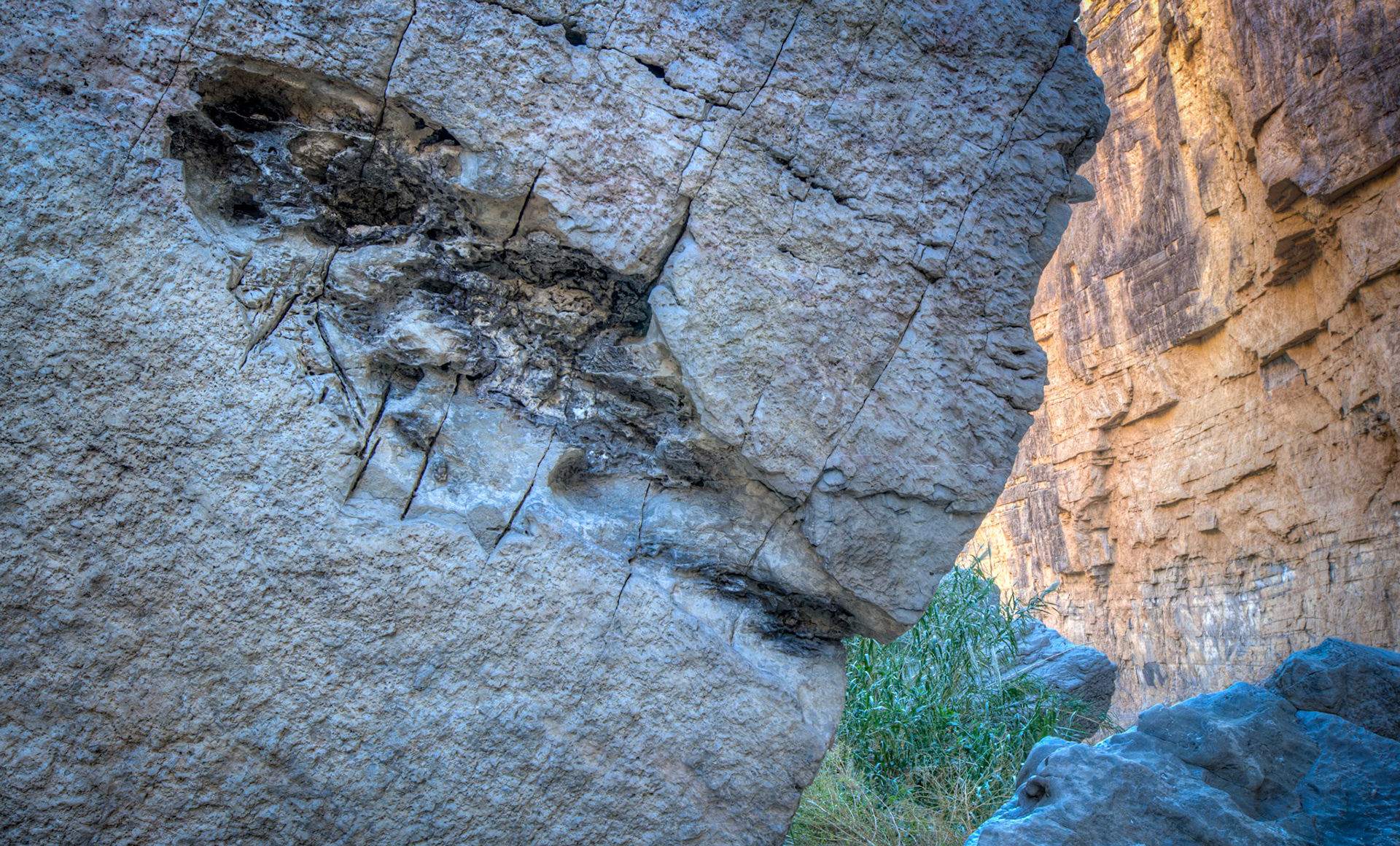 Fossil in Canyon Wall - 1822