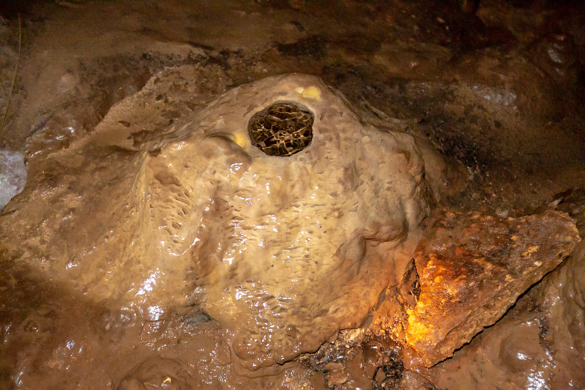 The Pit - 6293