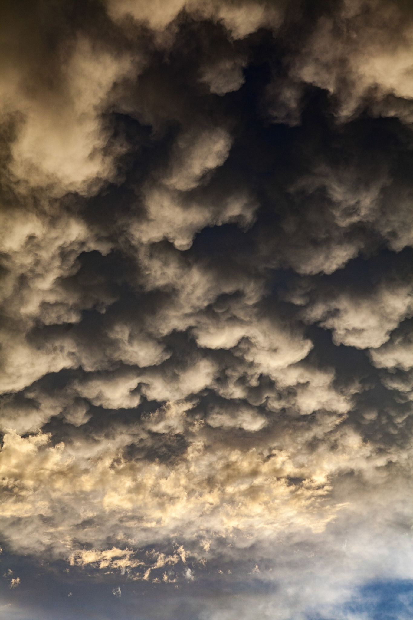 Mammatus Clouds - 8650