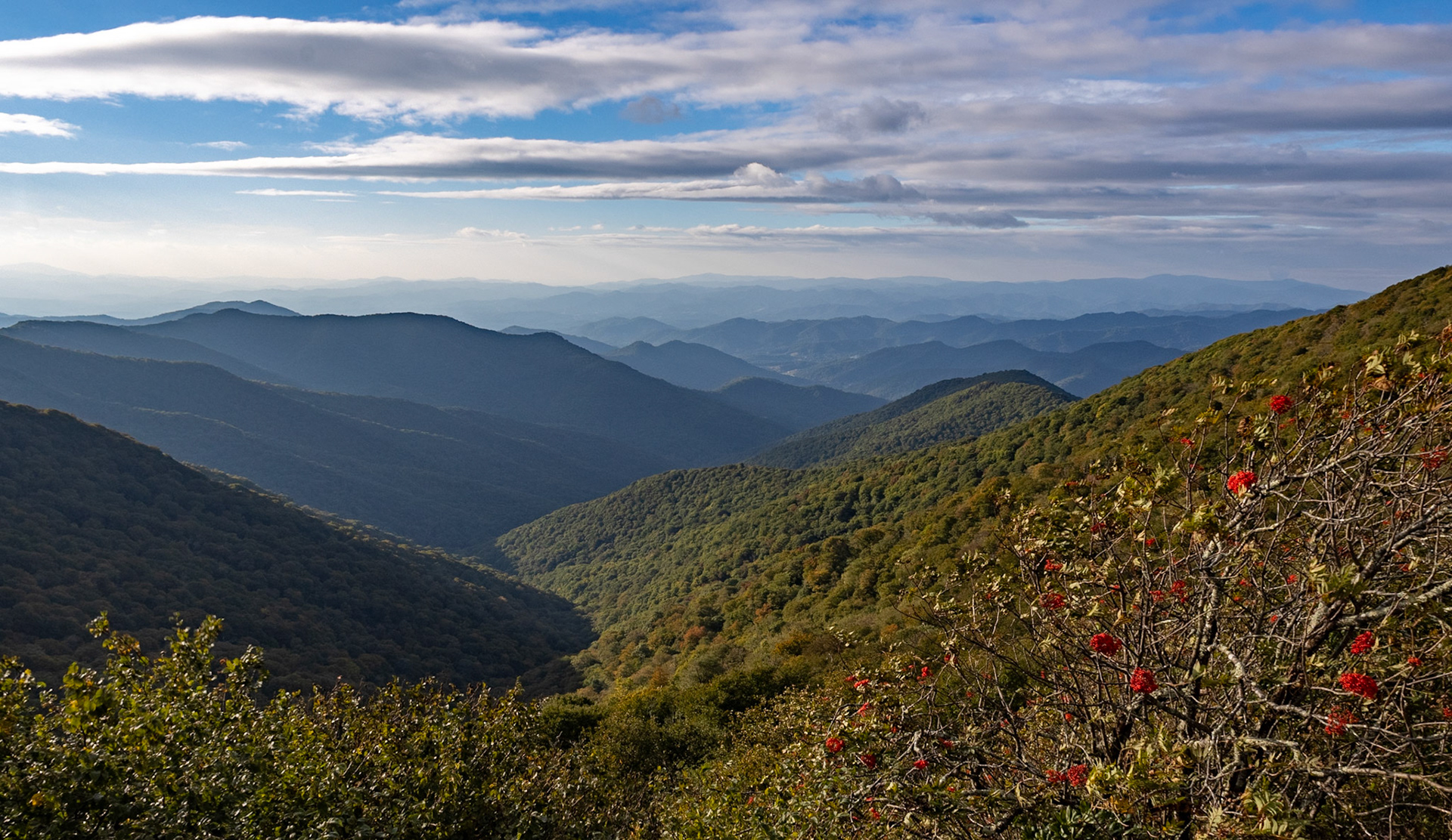 Craggy Gardens Overlook - 527
