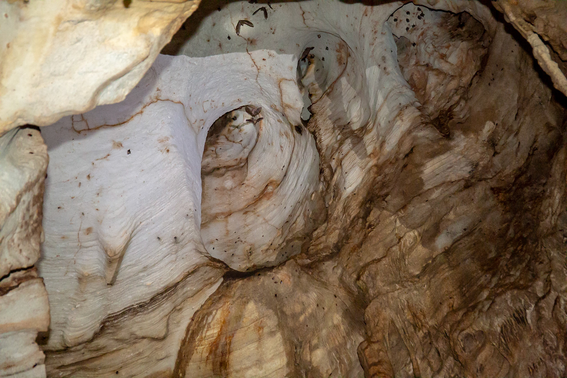 Faces in the Wall - 6301