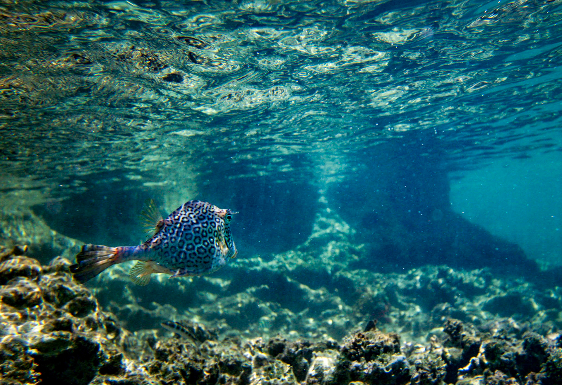 Other Eleuthera-271