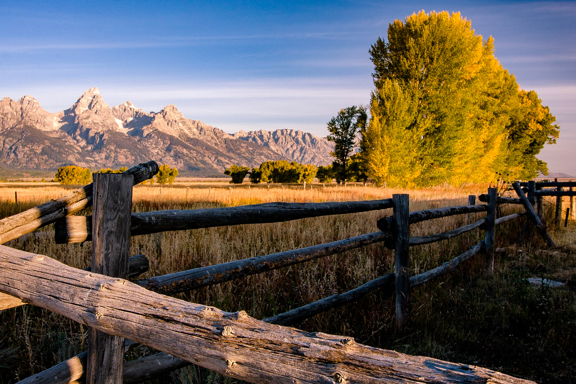 Mormon Row Fence Line