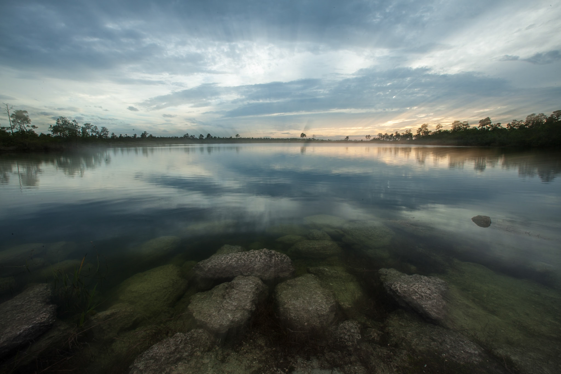 Dawn Mist on the Pond