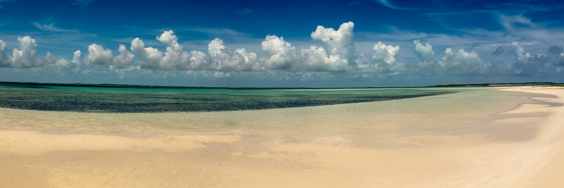Sandbar at Low Tide 032