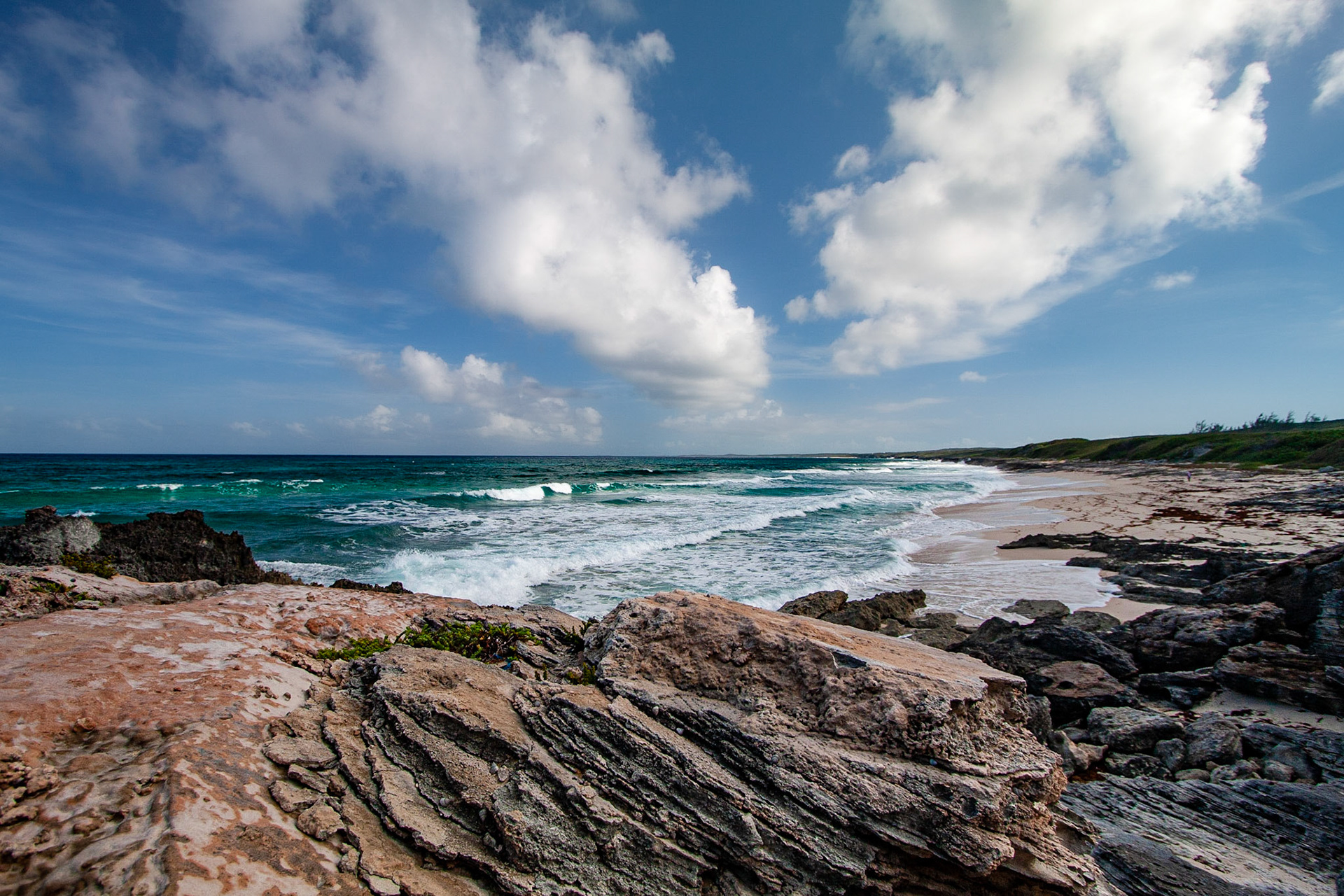 From the Rocks - 229