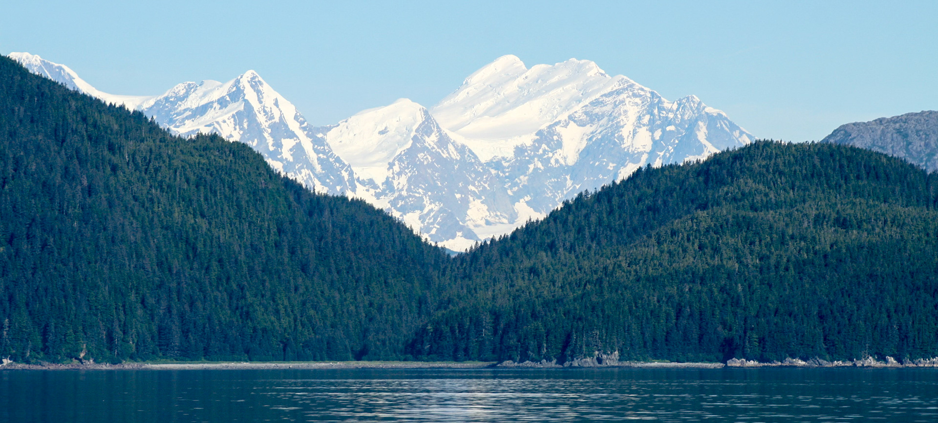 Snow Peaks Beyond Forest - 43109