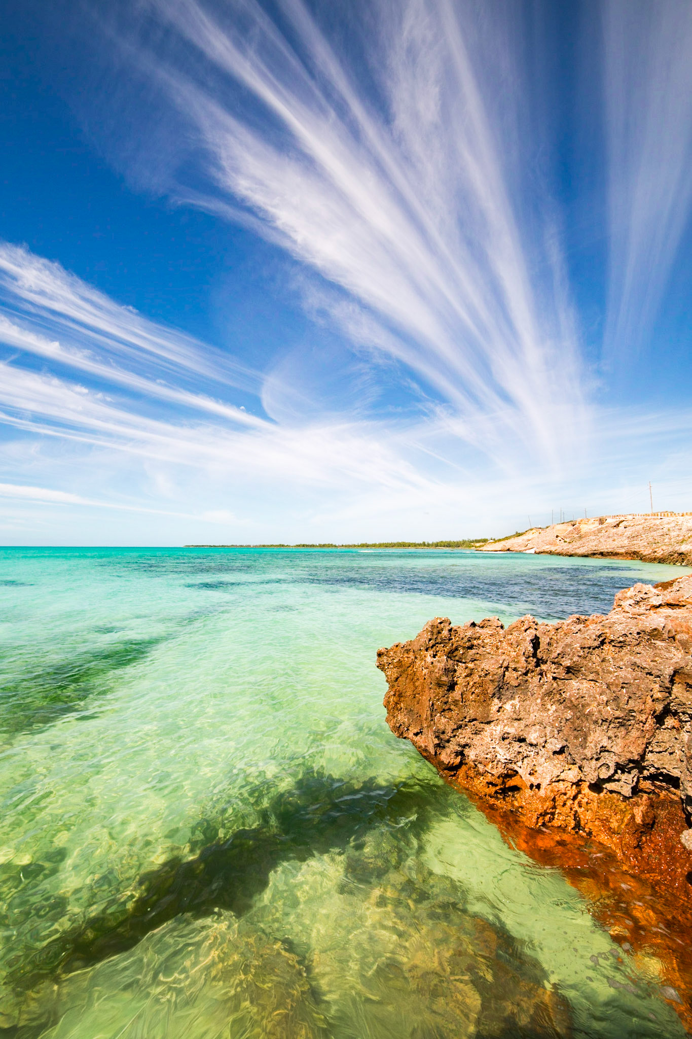 Cirrus Over the Bight 172