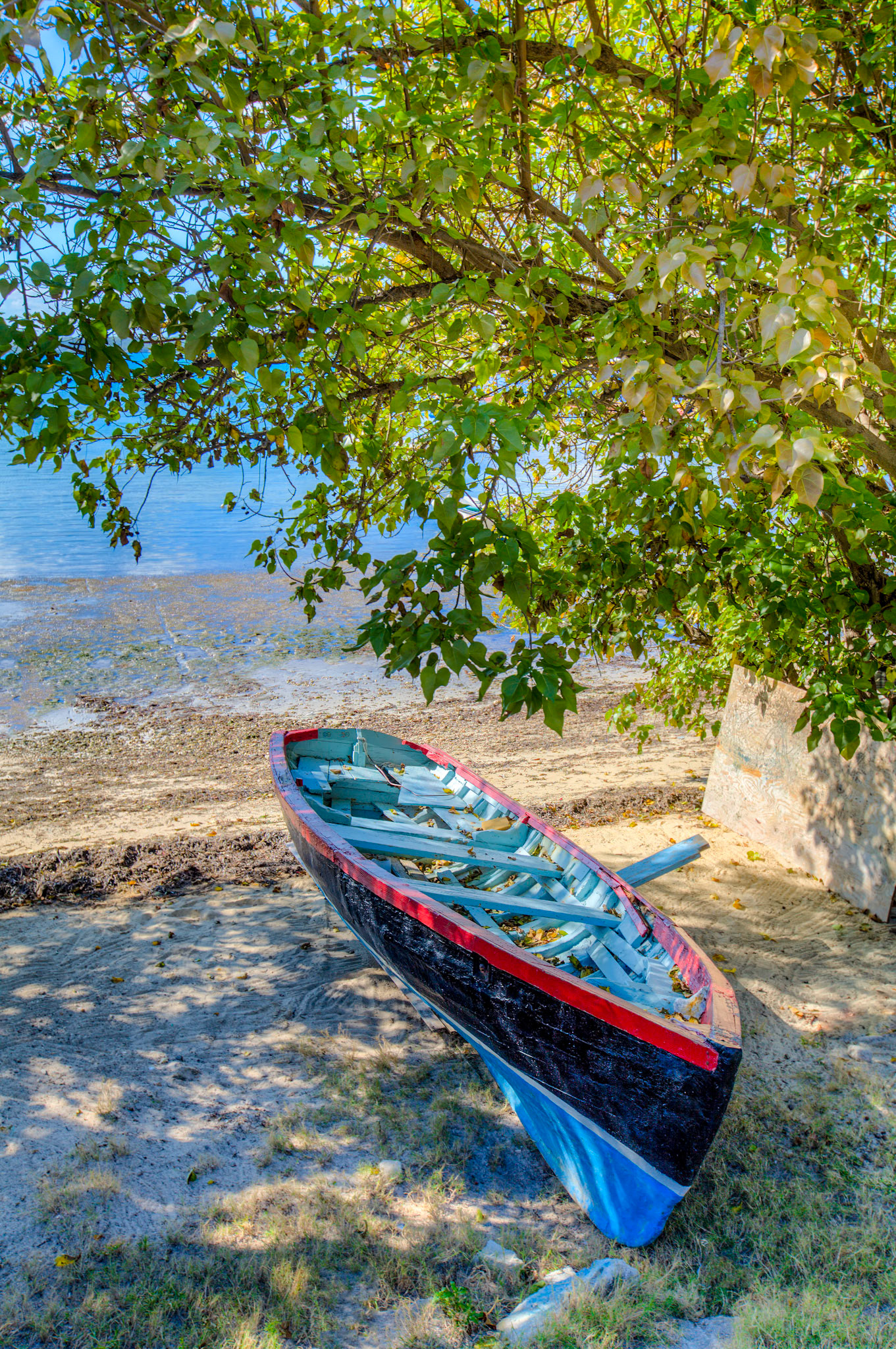 Blue Boat - 001