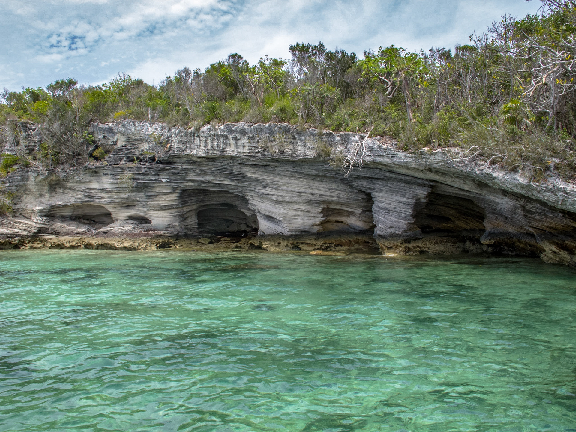 1479-Man Island's area is approximately 35 acres (140,000 m2) owned by a number of individuals residing in the Bahamas, The United States and Europe. The island's proximity to Harbour Island (capital Dunmore Town) has aroused investor interest because of Harbour Island's increased tourist popularity.