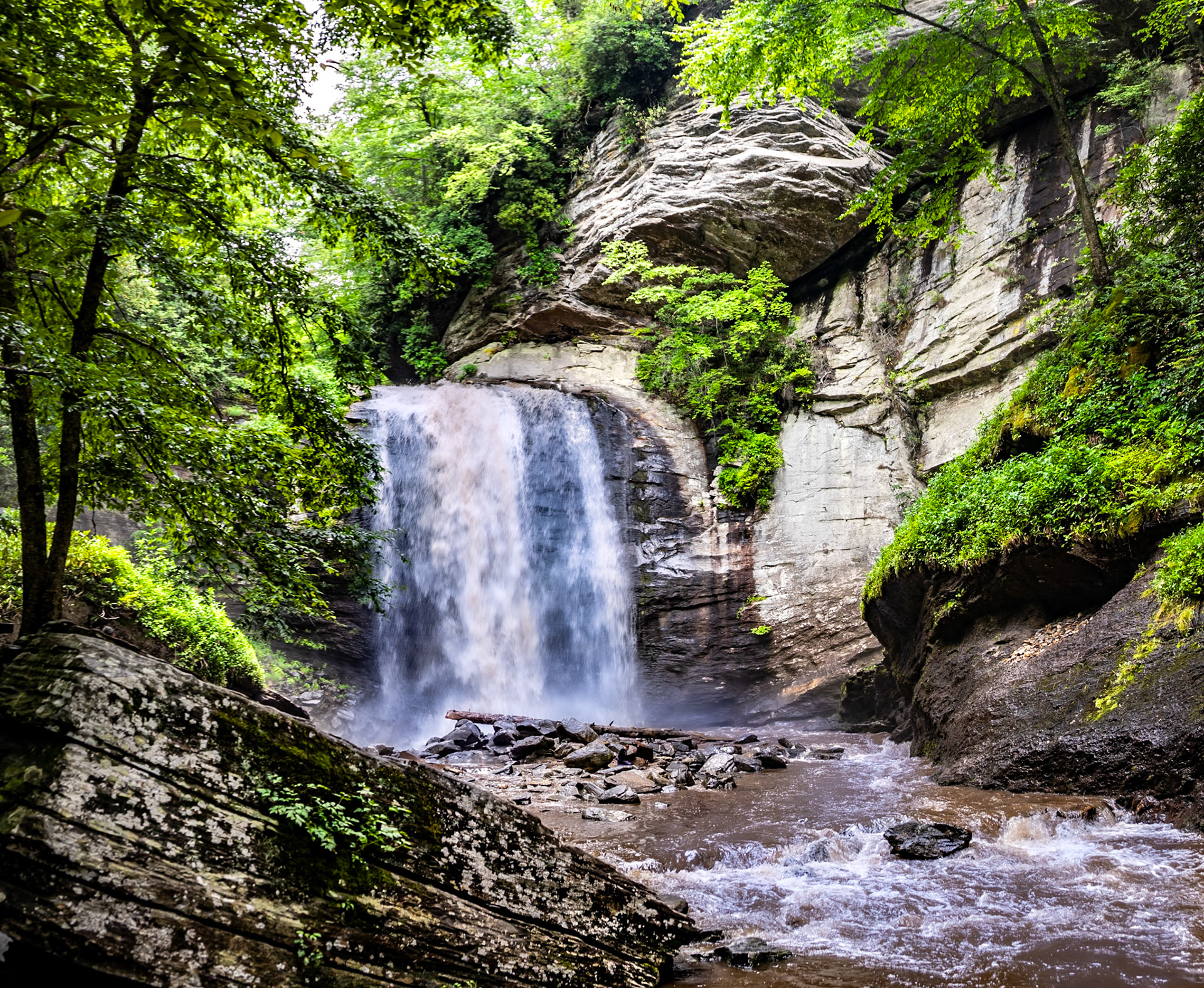 Looking Glass Falls - 9129