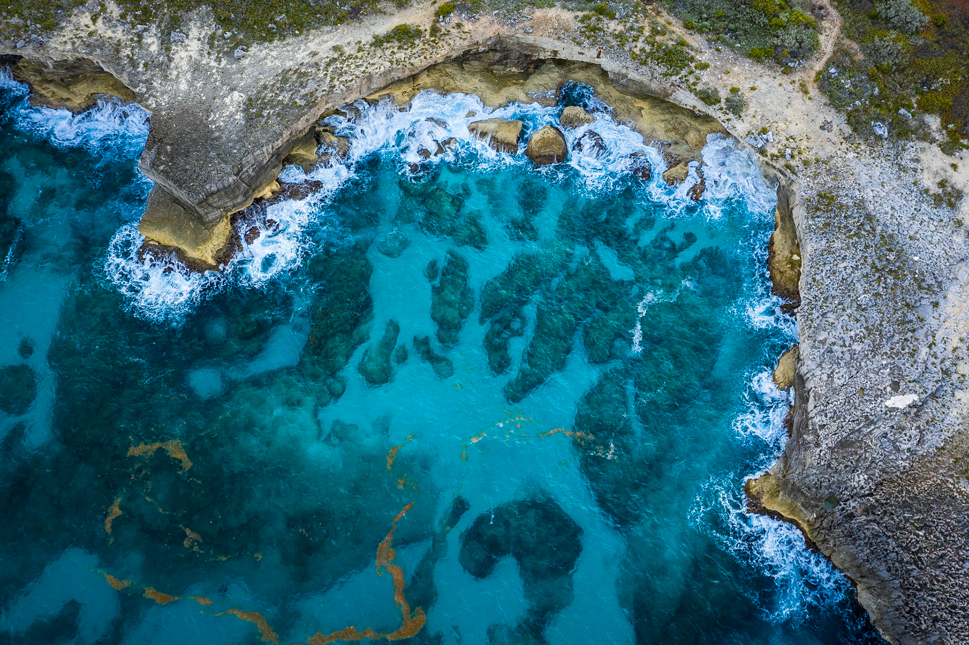 The Cove from Above - 336