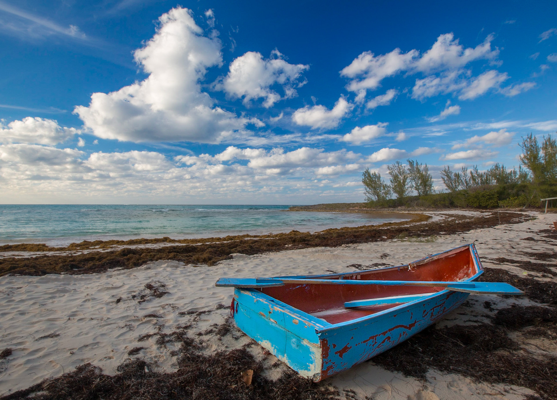 Blue Rowboat - 8709