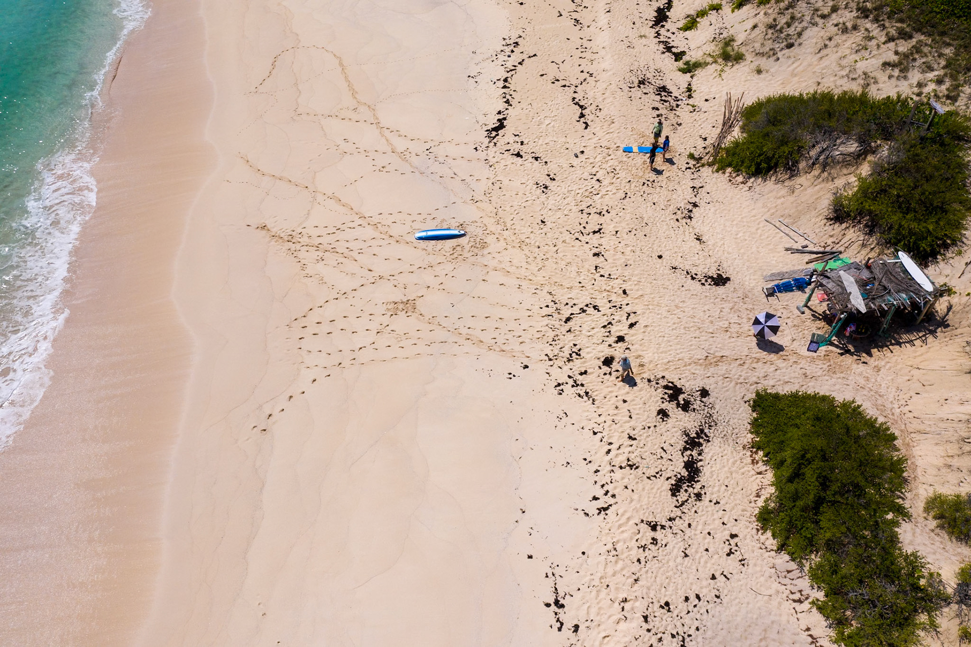 Boards on the Beach 383