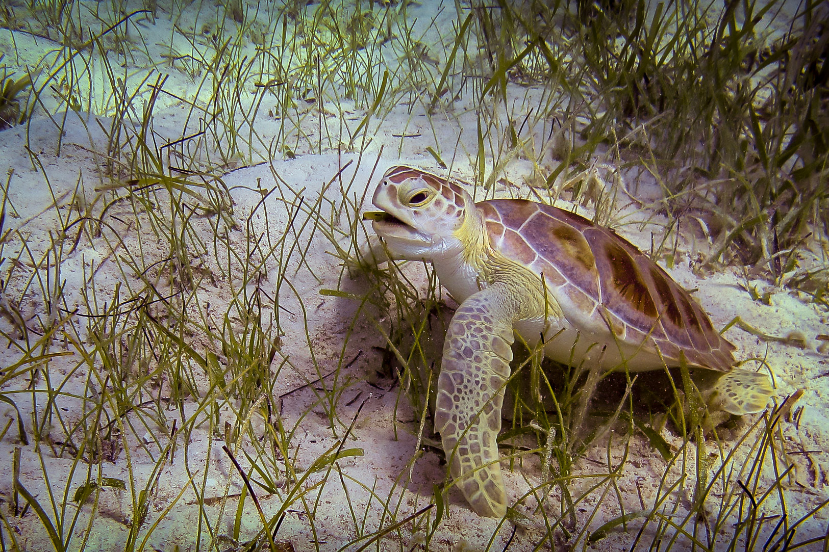 Other Eleuthera-244