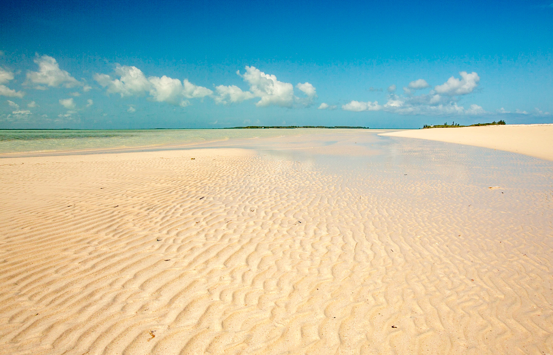 Sand Ripples - 895