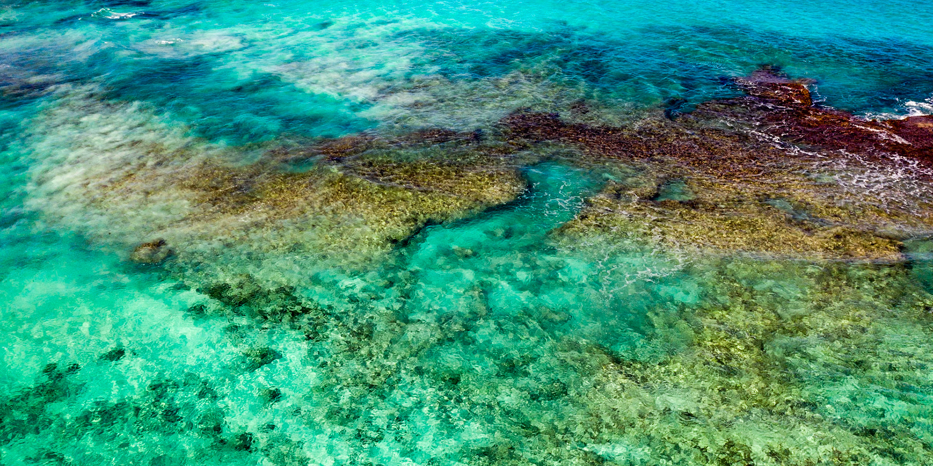The Reef - 0829