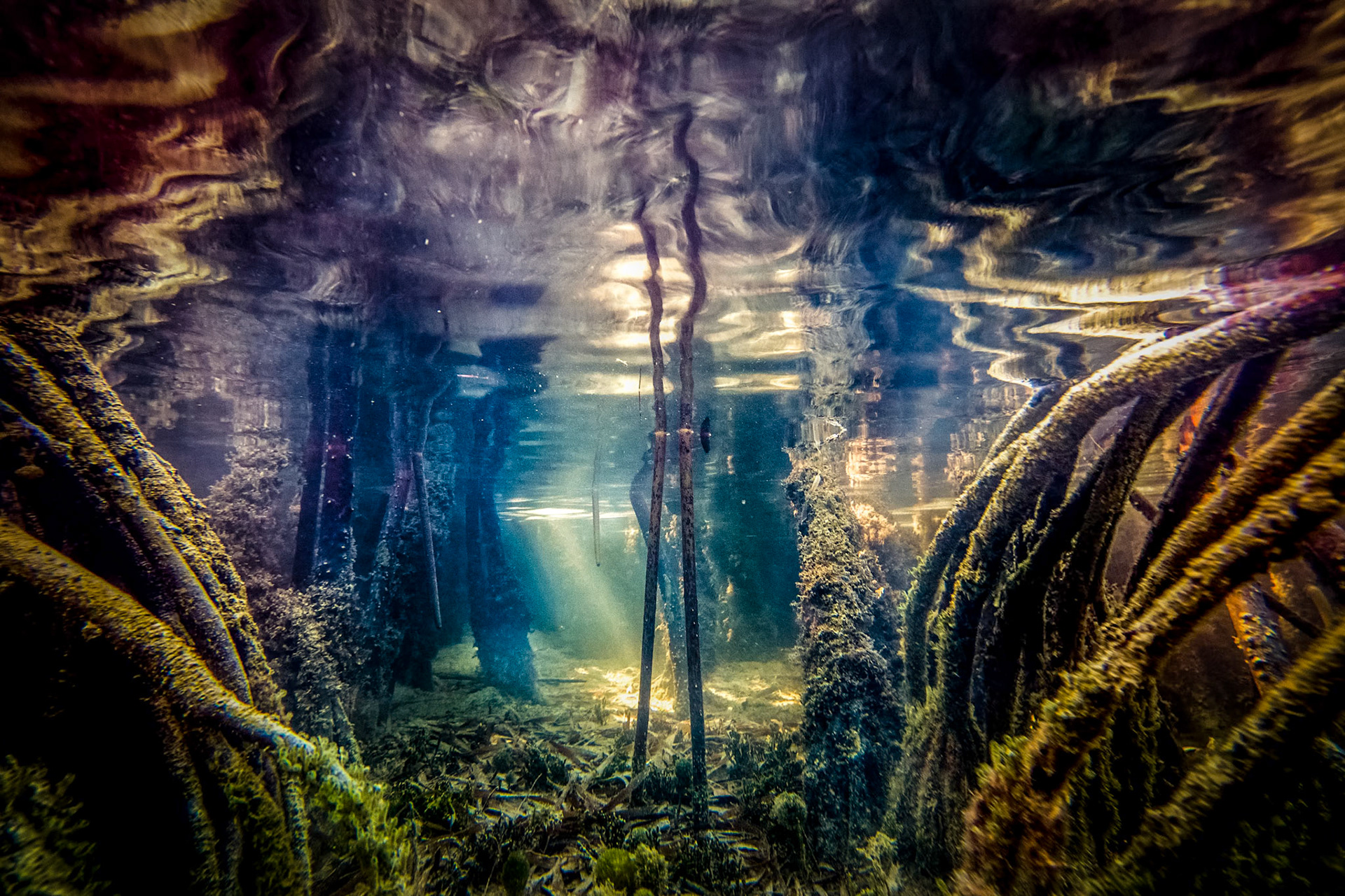 Rays among the Roots 671