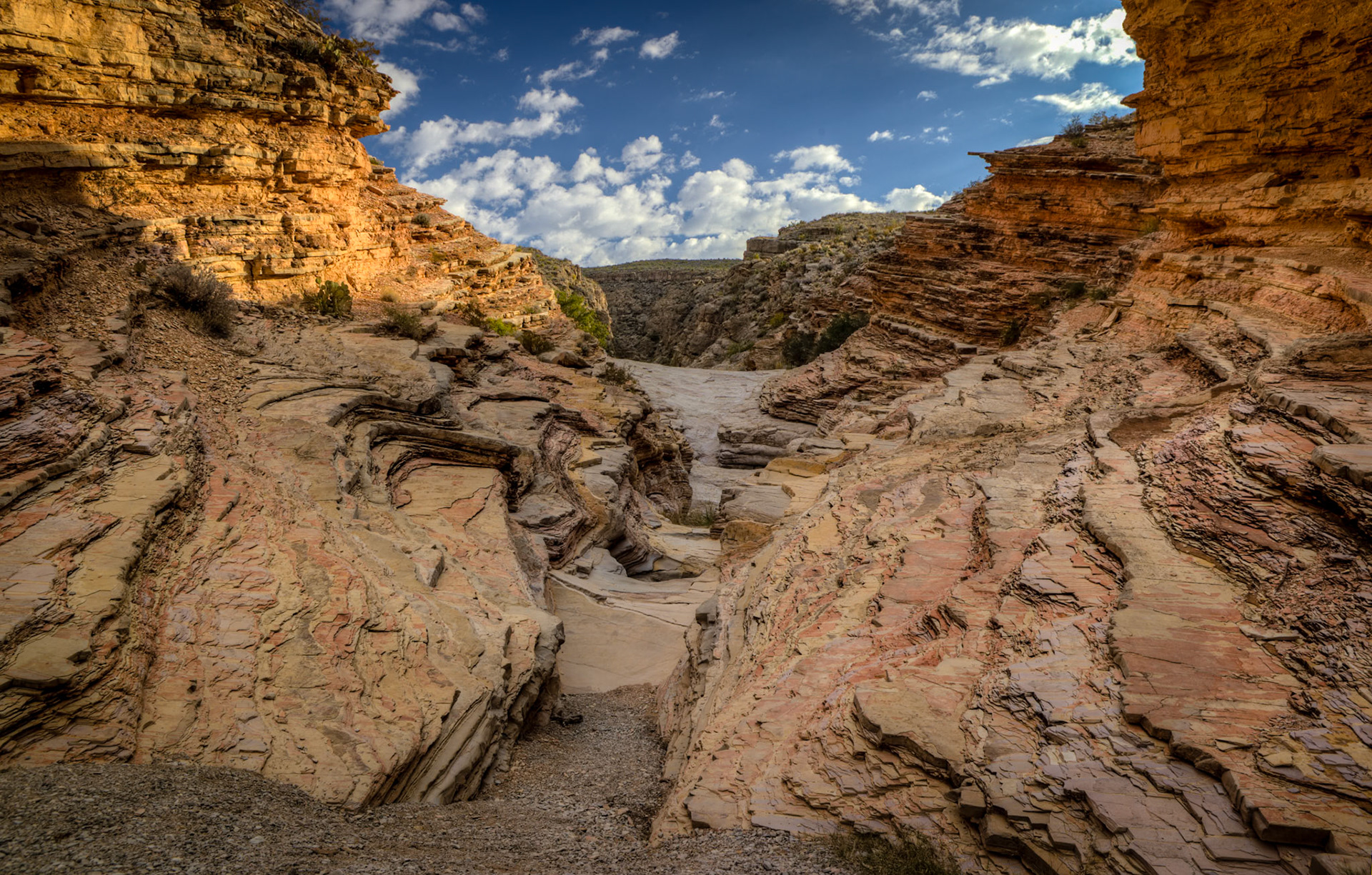Swirled Limestone Folds - 1834