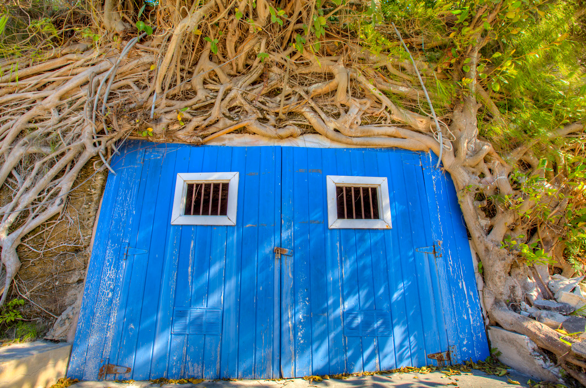 Blue Doors - 014