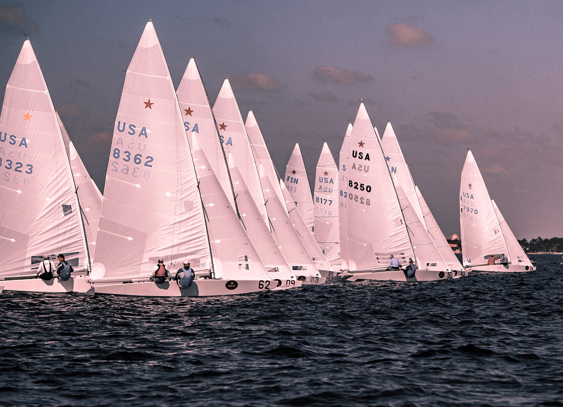 Pink Sails 1007