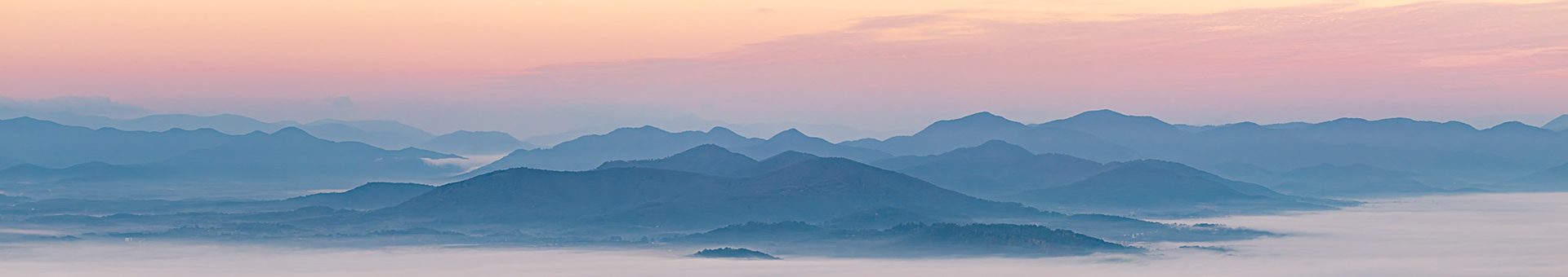 Morning Bliss 0219