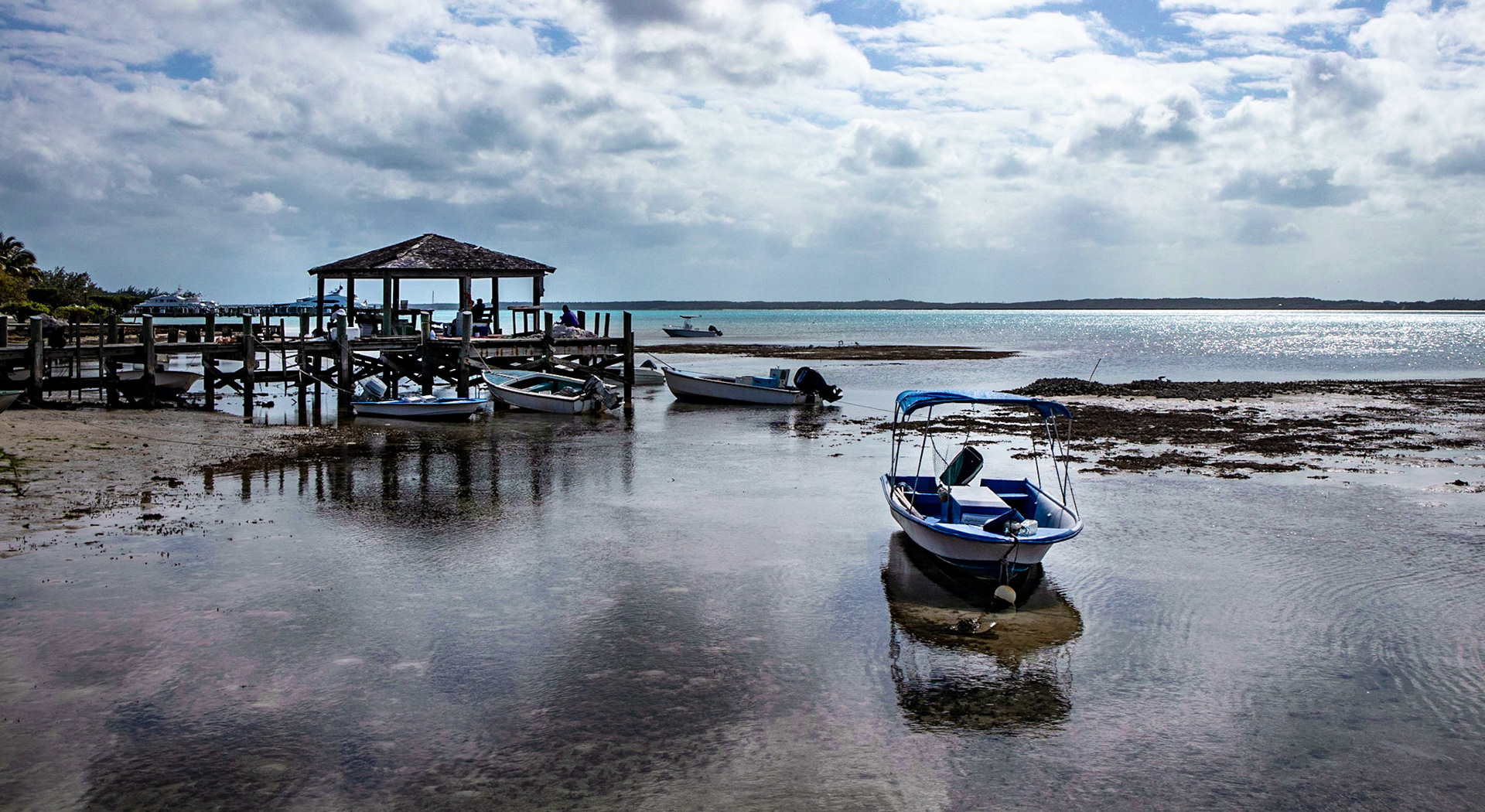 Low Tide - 1093