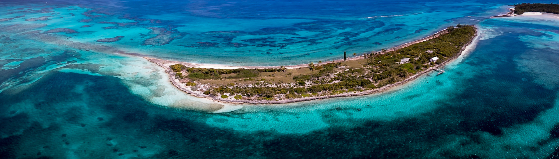 Curve of the Cay 081
