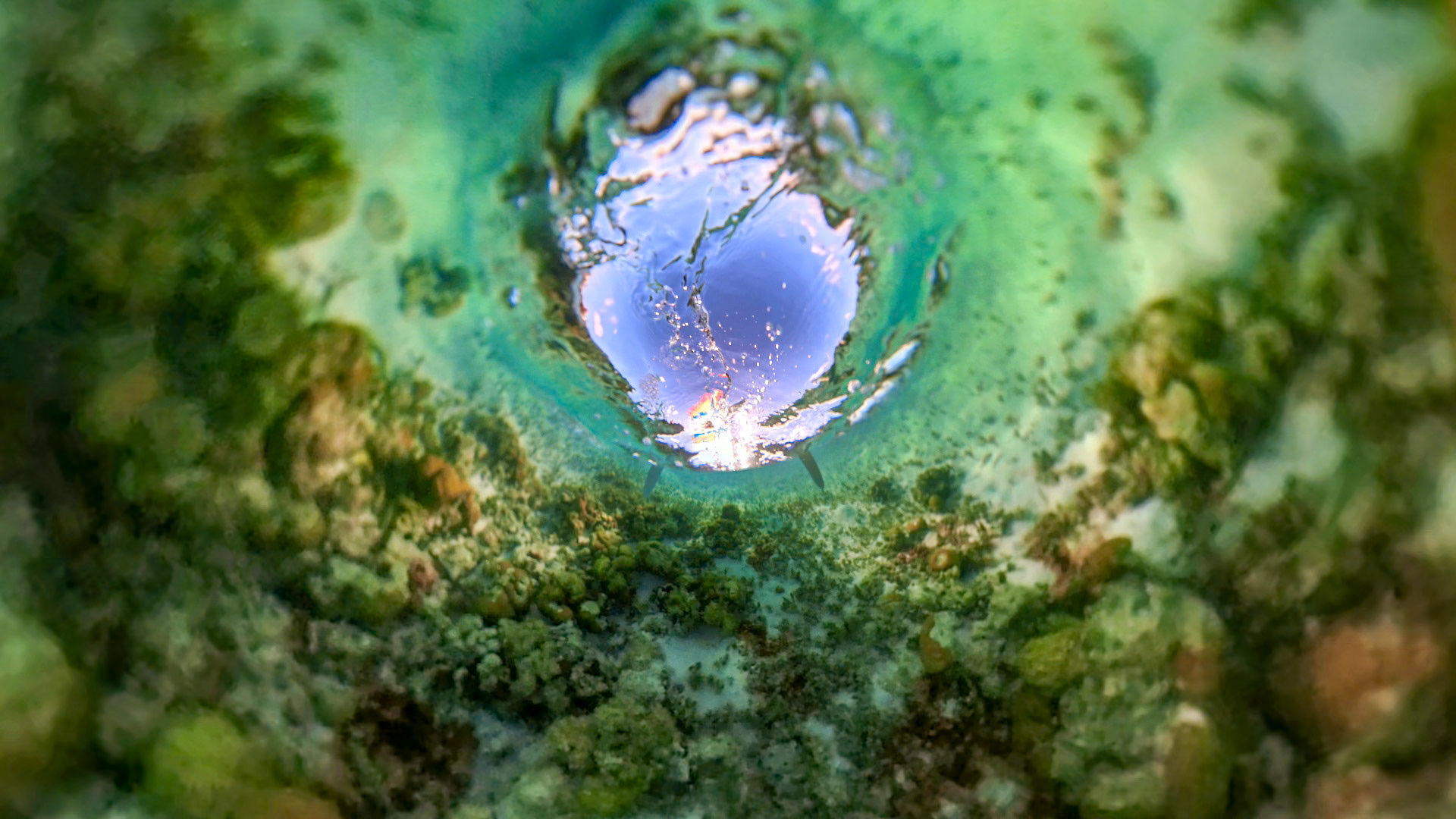 Reef Around