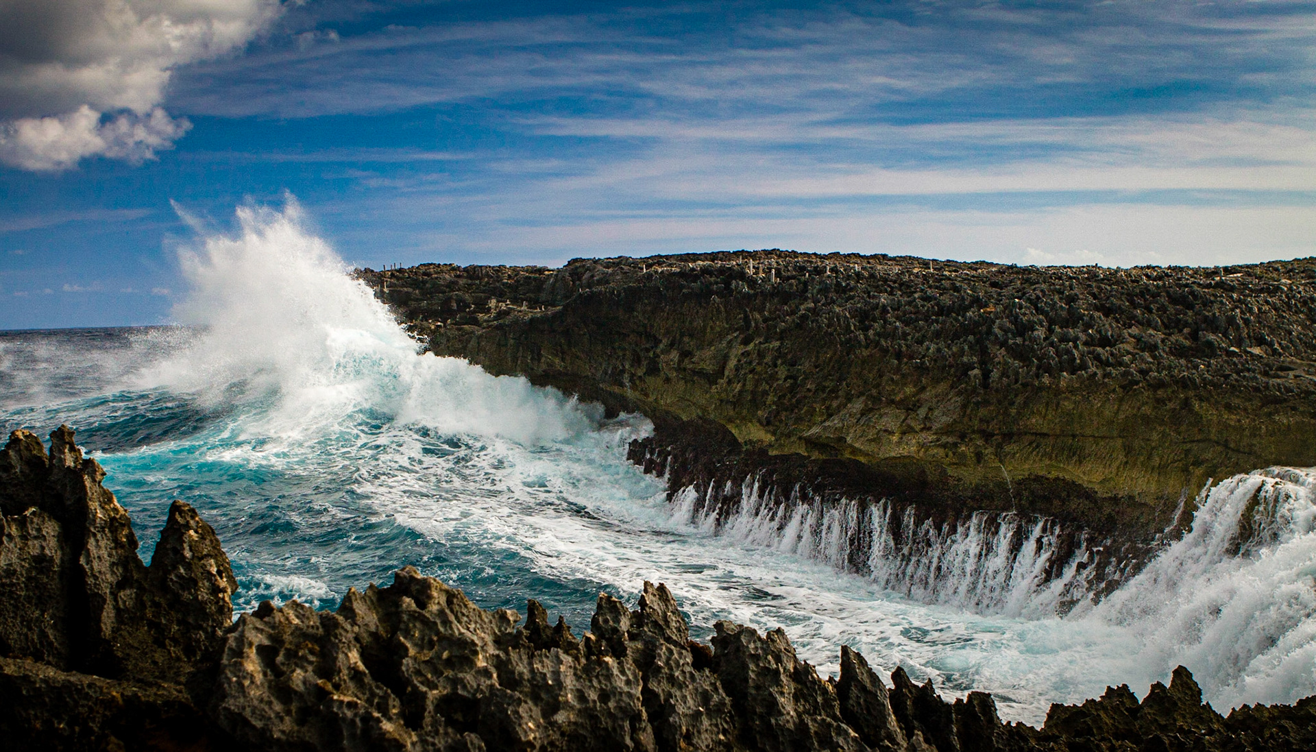 Into the Cove - 764