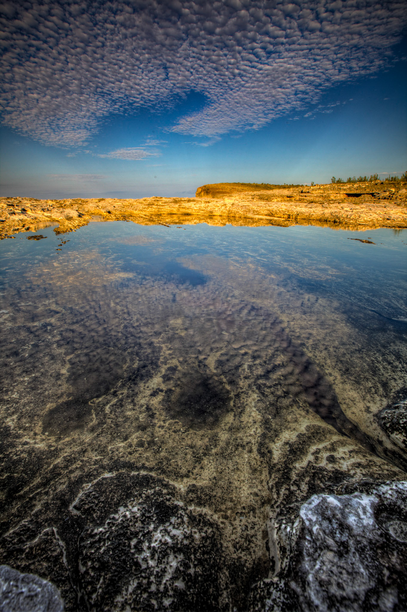Mackerel Over Still Water 322