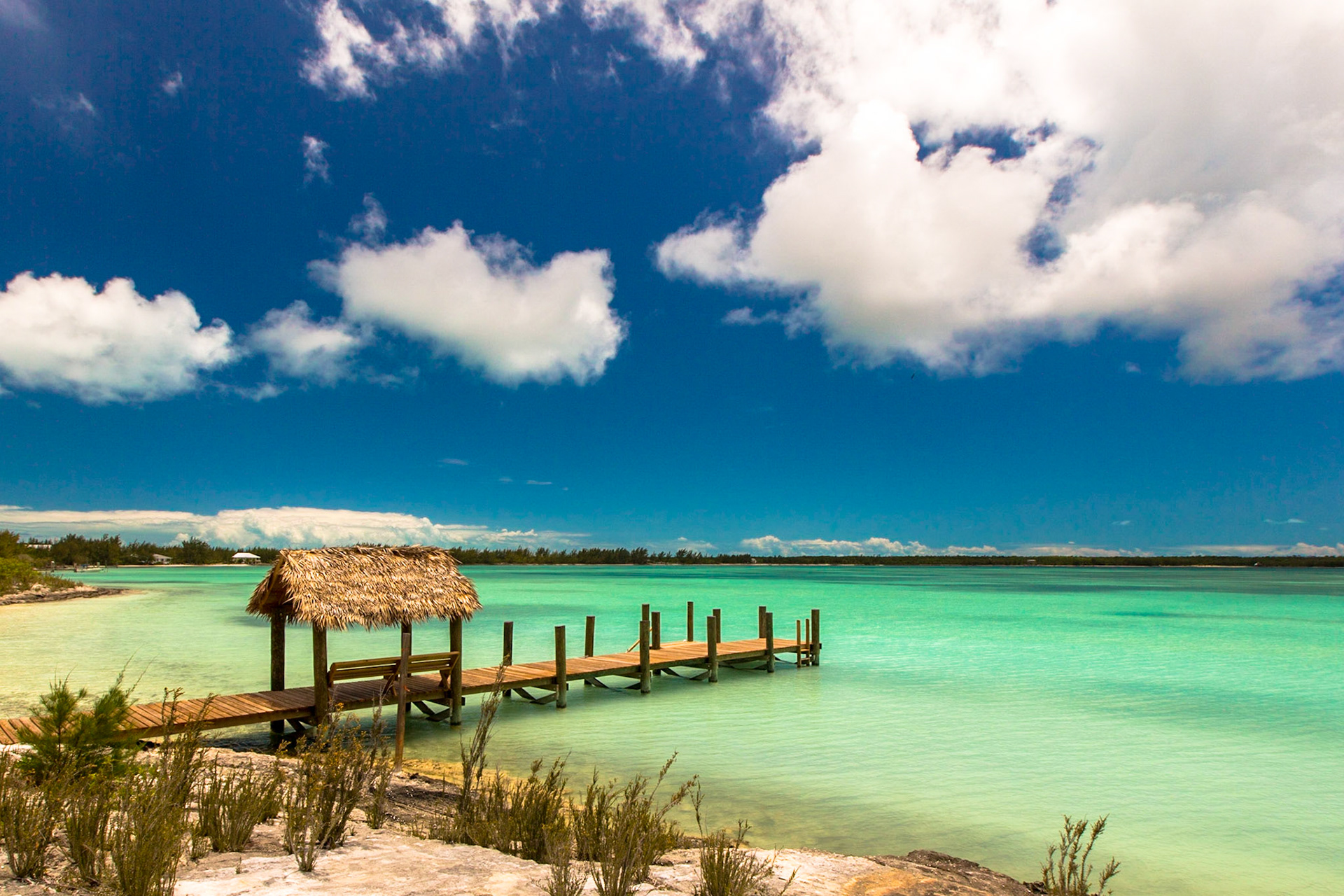 Thatched Dock from the Beach - 8059