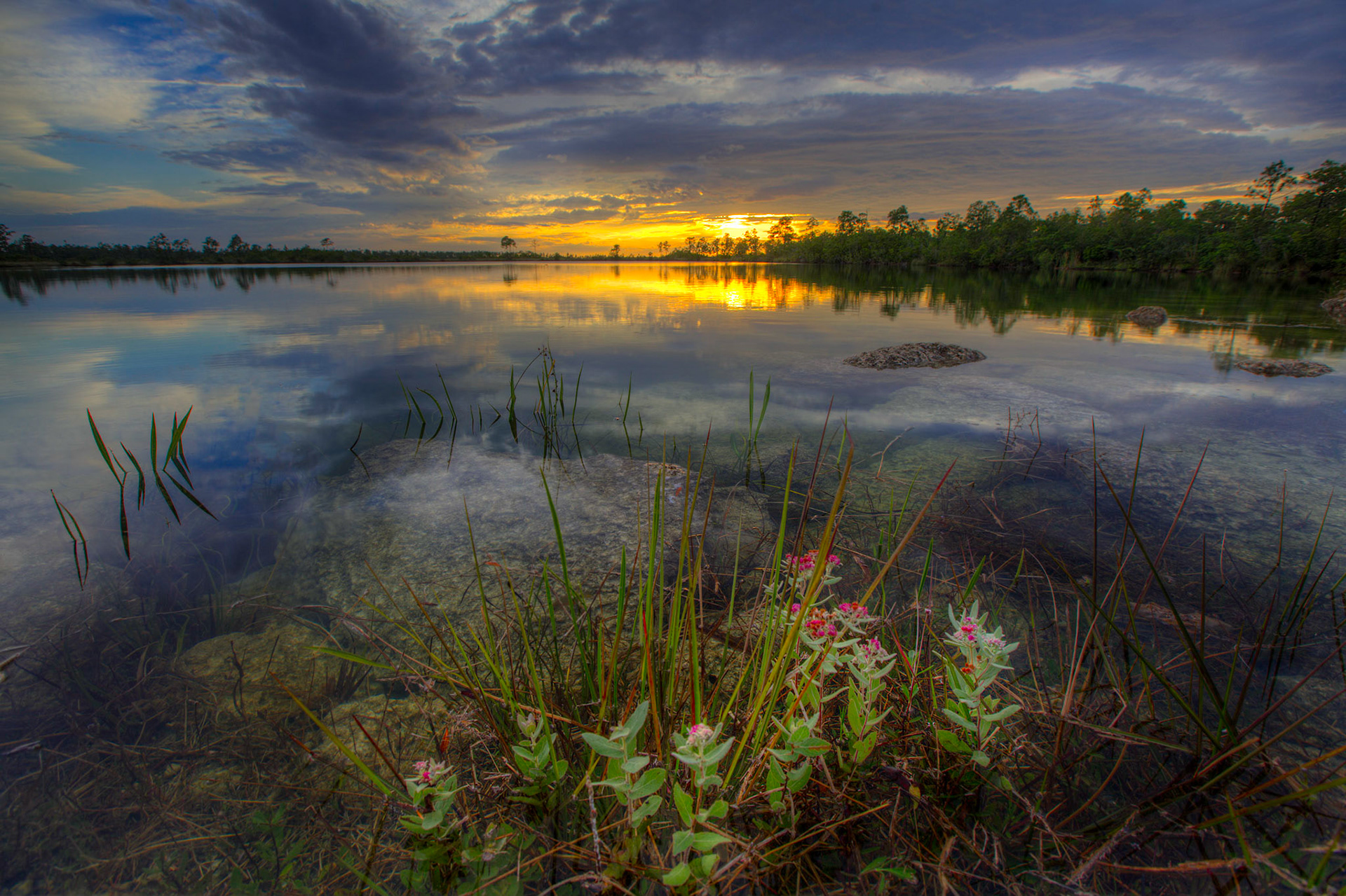 EN2401 -Everglades National Park, the largest subtropical wilderness in the United States, boasts rare and endangered species. It has been designated a World Heritage Site, International Biosphere Reserve, and Wetland of International Importance, significant to all people of the world.