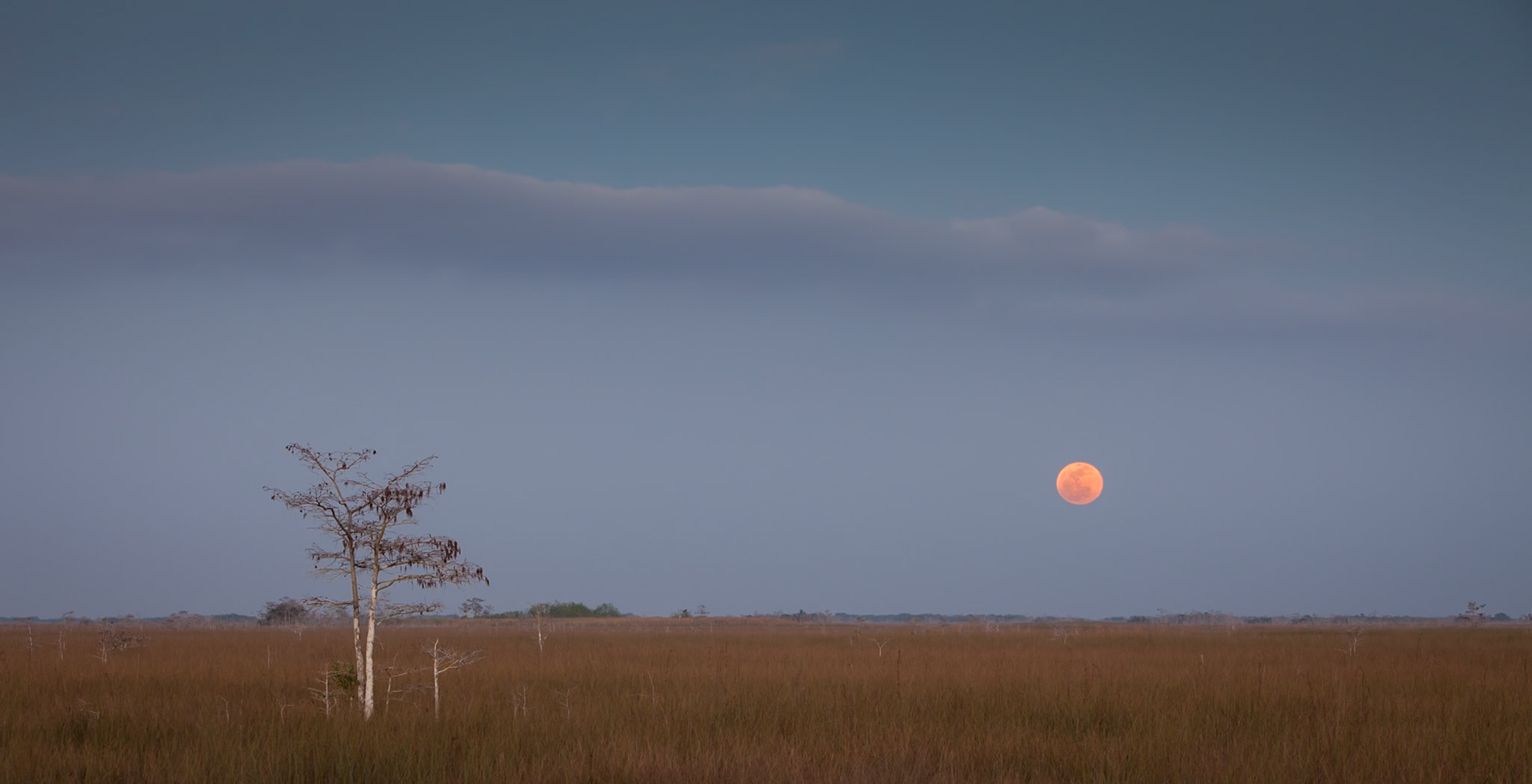 Moonrise Over Sawgrass