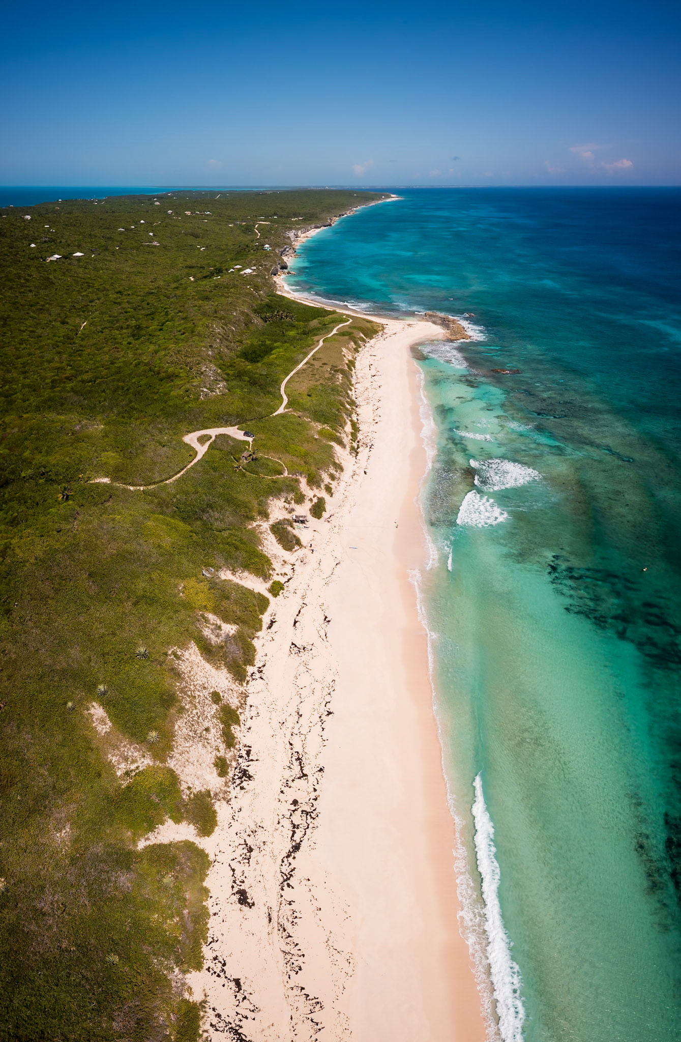 Surfer Coast 102