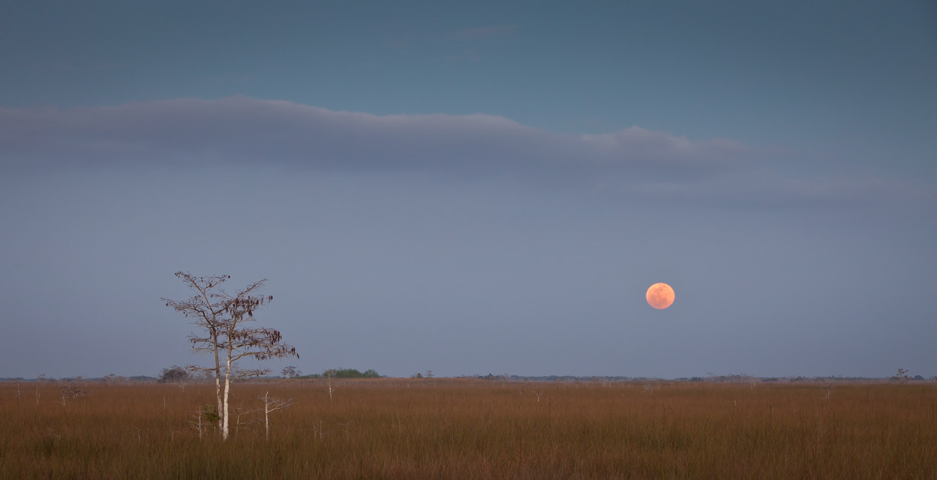 EN2413 -Everglades National Park, the largest subtropical wilderness in the United States, boasts rare and endangered species. It has been designated a World Heritage Site, International Biosphere Reserve, and Wetland of International Importance, significant to all people of the world.