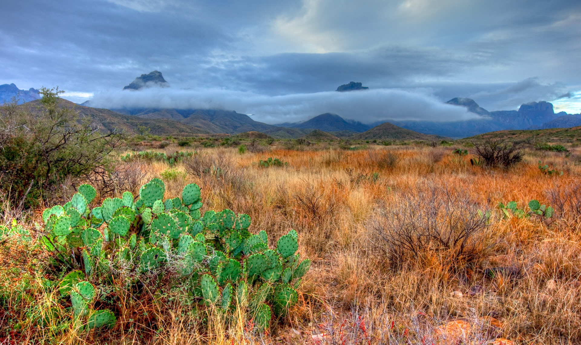 Fog Over the Chisos - 1820