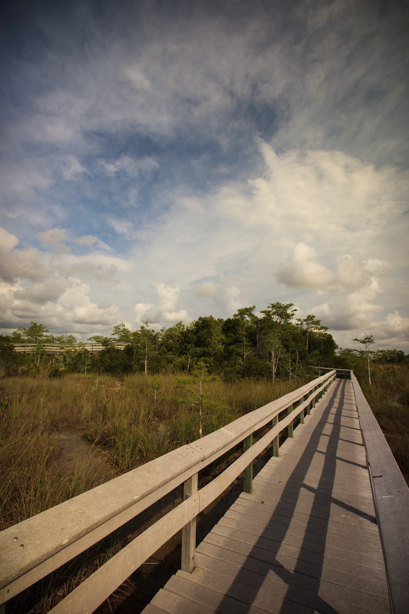 Anhinga Trail Boardwalk