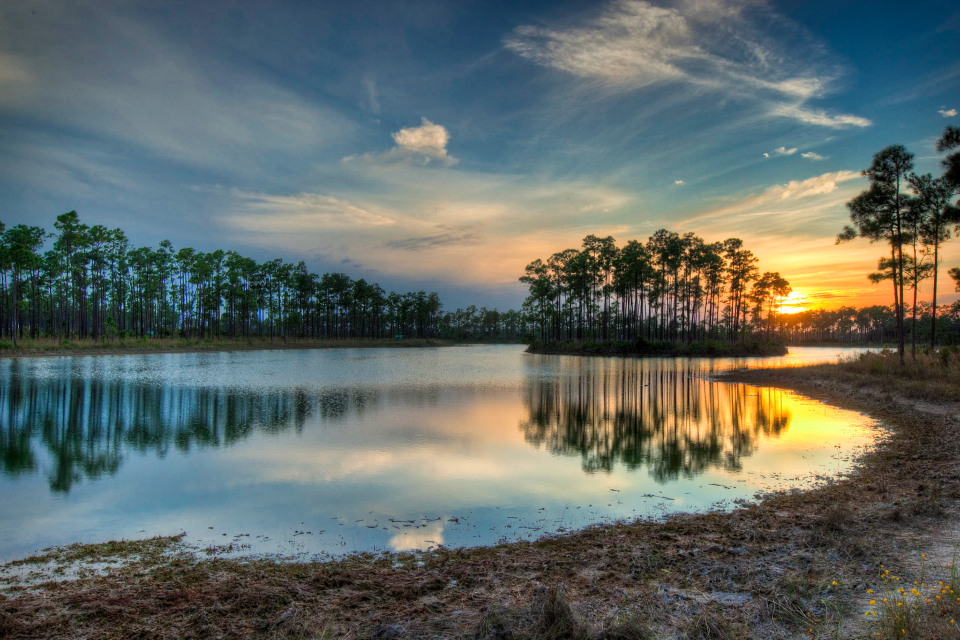 EN2411 -Everglades National Park, the largest subtropical wilderness in the United States, boasts rare and endangered species. It has been designated a World Heritage Site, International Biosphere Reserve, and Wetland of International Importance, significant to all people of the world.
