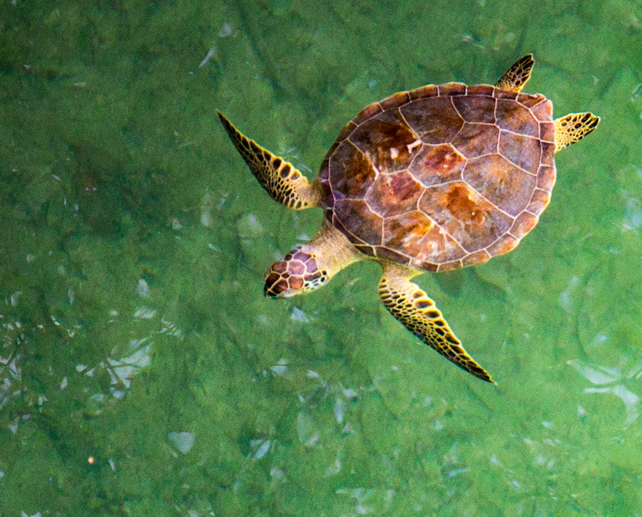 Other Eleuthera-265