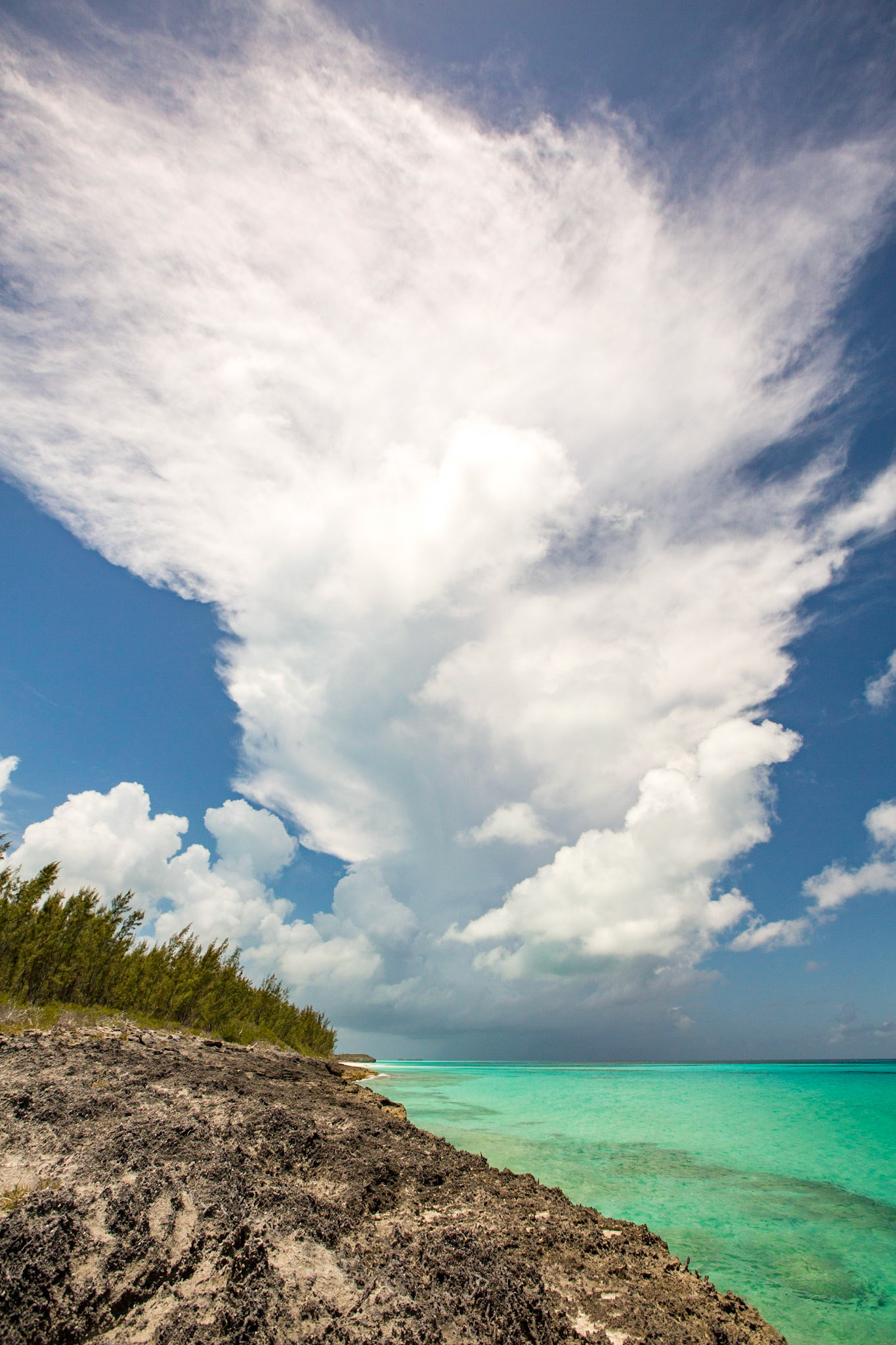 White Cloud - 2730