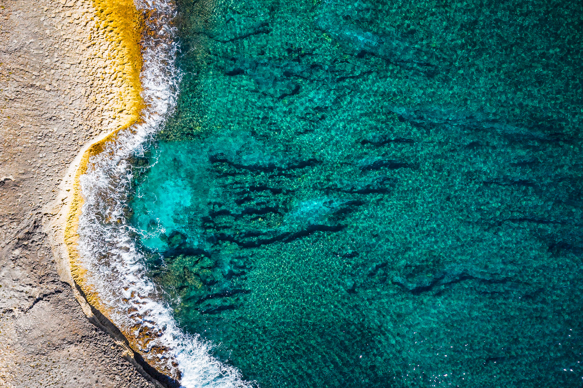 Reef Edge - 0822