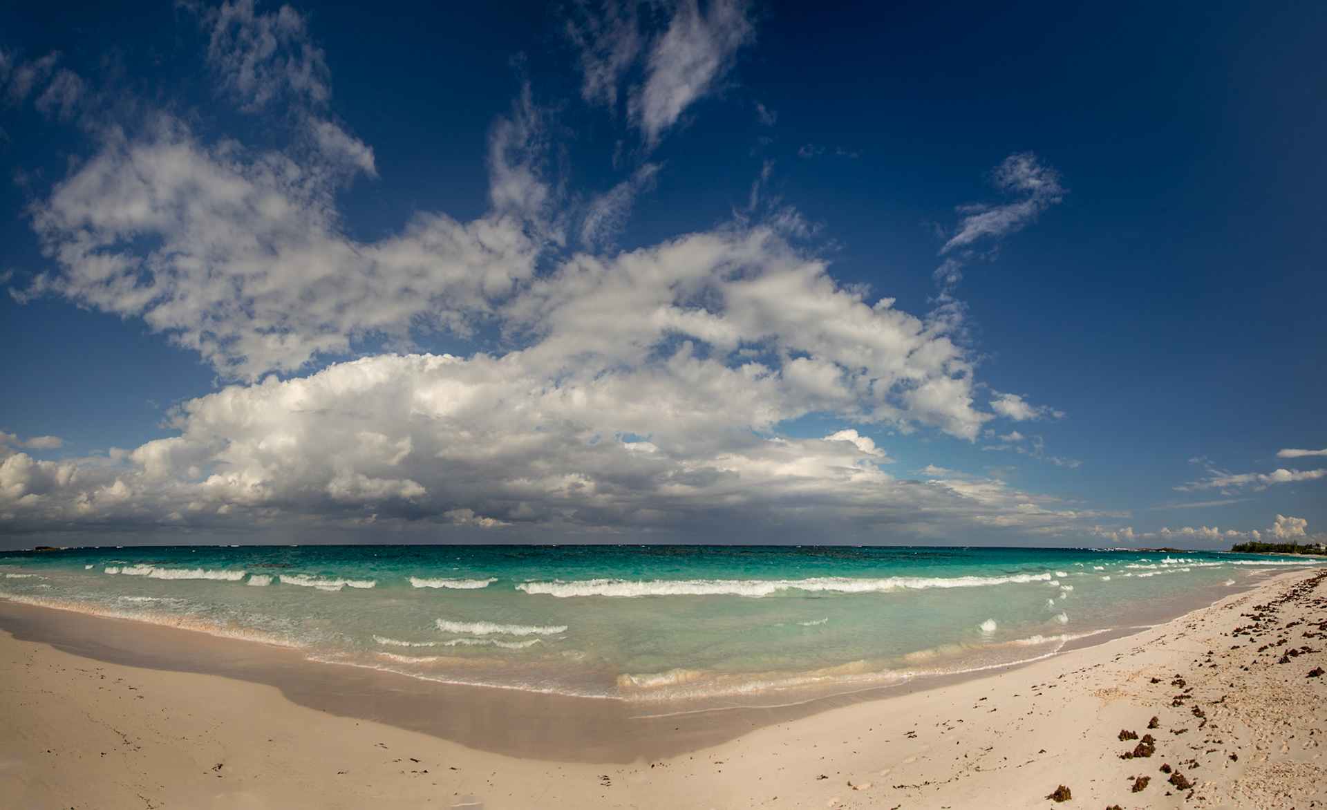 Open Beach - 7933