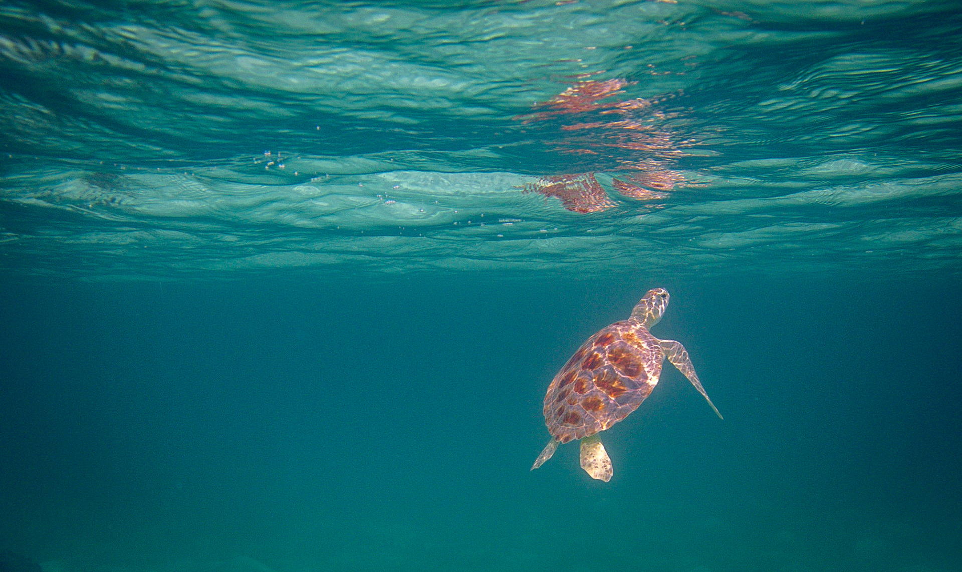 Other Eleuthera-237